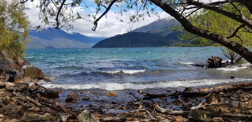 El lago Puelo turquesa visto desde la costa de piedras, entre las ramas del bosque y con los cerros de fondo